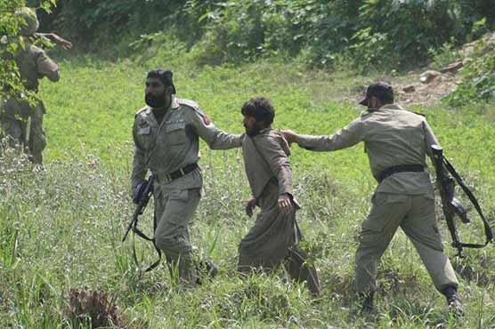 Terrorist Arrest