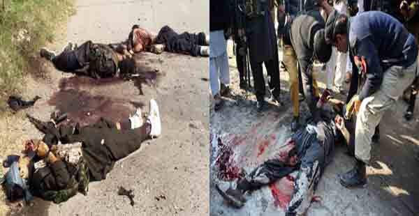 دہشت گرد کسی رعایت کے مستحق نہیں