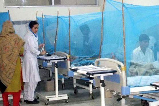 Dengue Patients