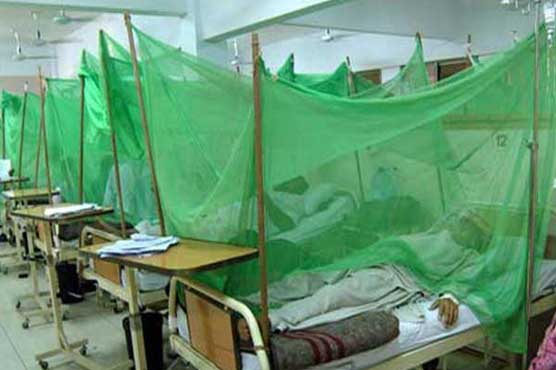 Dengue Patients