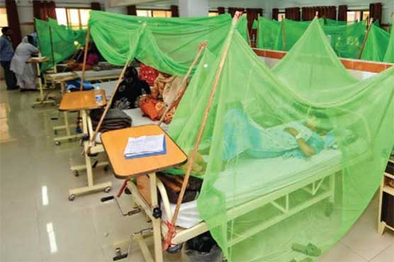 پنجاب میں ڈینگی پھر سر اٹھانے لگا، ملتان میں 128 افراد میں وائرس کی تصدیق ہو گئی