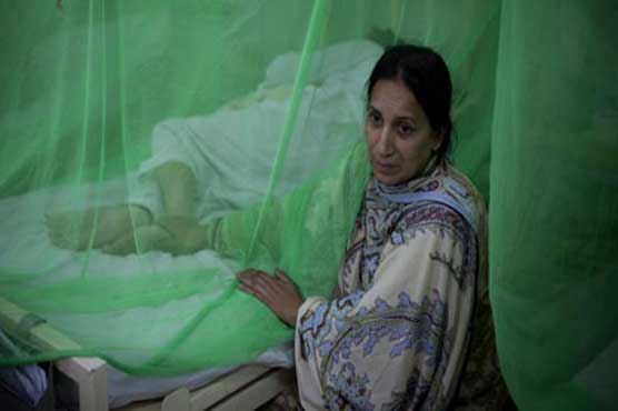 راولپنڈی، مزید 90 افراد ڈینگی کا شکار، مجموعی تعداد 2150 تک جا پہنچی