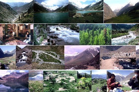 شکوہ  ظلمت  شب سے تو کہیں بہتر تھا