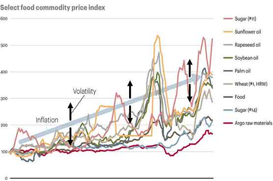 مہنگائی میں ہوشربا اضافہ، دالوں اور خشک دودھ کی قیمتیں کئی گنا بڑھ گئیں