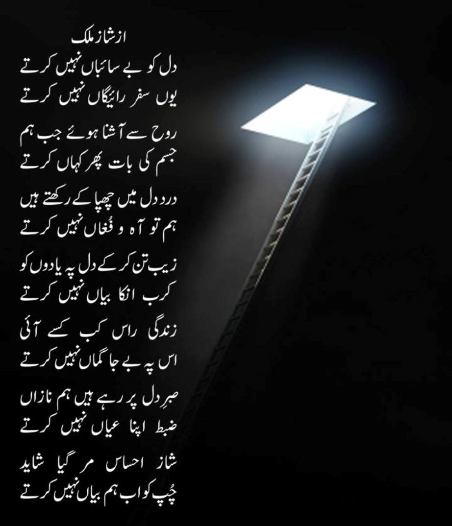 دل کو بے سائباں نہیں کتے