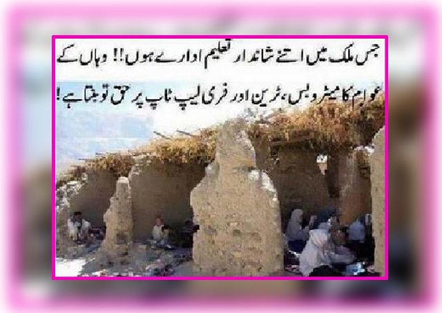 کیا پاکستان ہاتھی کھا سکتا ہے؟