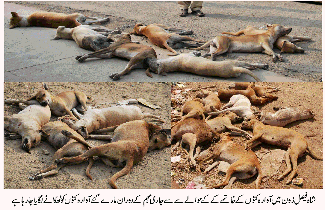 DMC Korangi Karachi