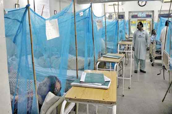 راولپنڈی: مزید 34 افراد میں ڈینگی وائرس کی تصدیق