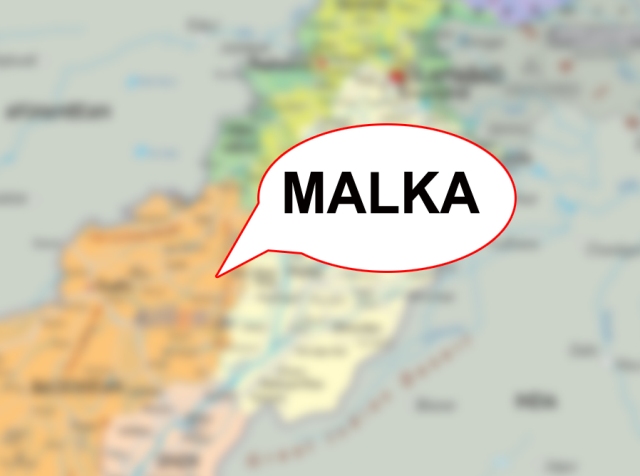 میں نے تاحال کسی سیاسی جماعت میں شمولیت کا اعلان نہیں کیا۔ چوہدری فہیم سرور