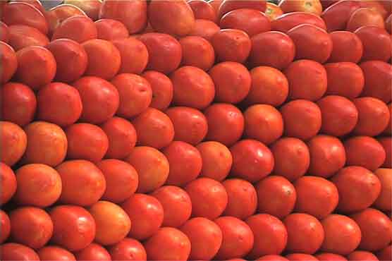 کراچی: ٹماٹر کی قیمت میں 10 روپے تک کمی