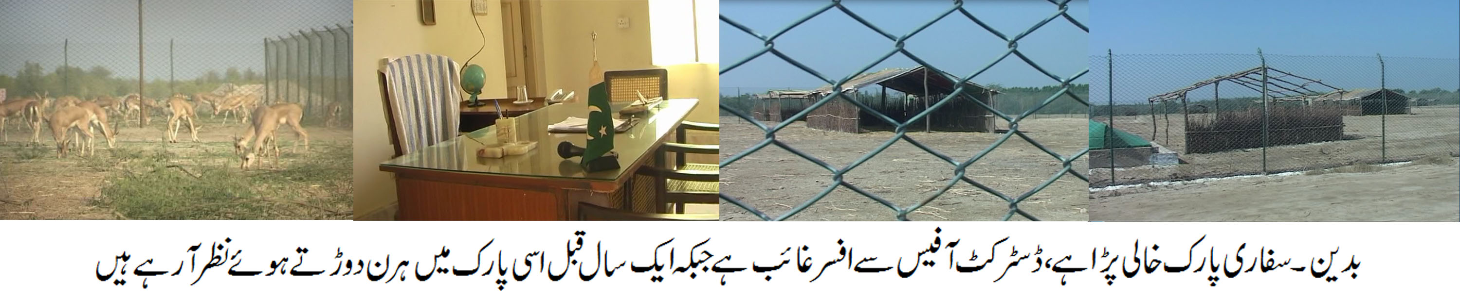 سفاری پارک سے نایاب ہرن اور دیگر جانور مبینا طور پر غائب کر دیئے گئے