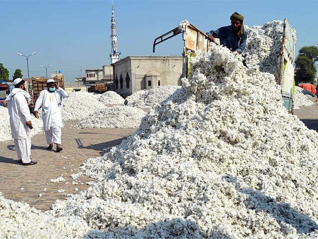 رسد میں کمی کے باوجود روئی کے نرخ بڑھ نہ سکے