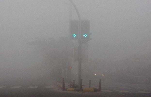 پنجاب: دھند کے باعث ٹریفک حادثات ، 5 افراد جاں بحق، 21 زخمی