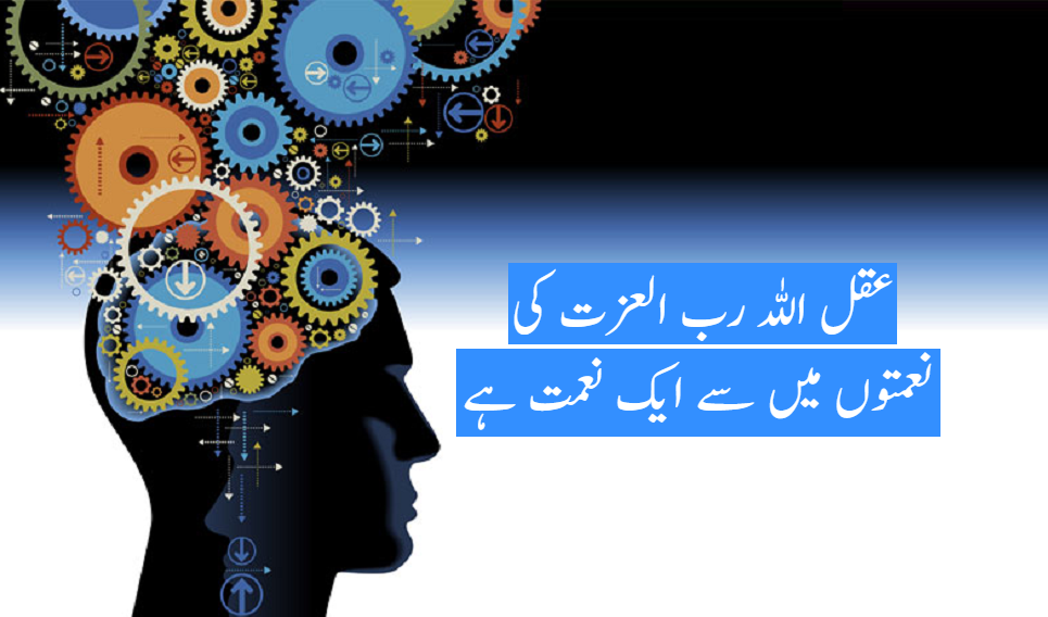 عقل اللہ رب العزت کی انمول نعمت