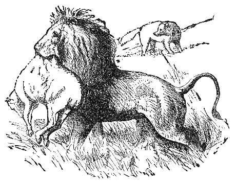 حضور! میرا میمنہ مر جائے گا