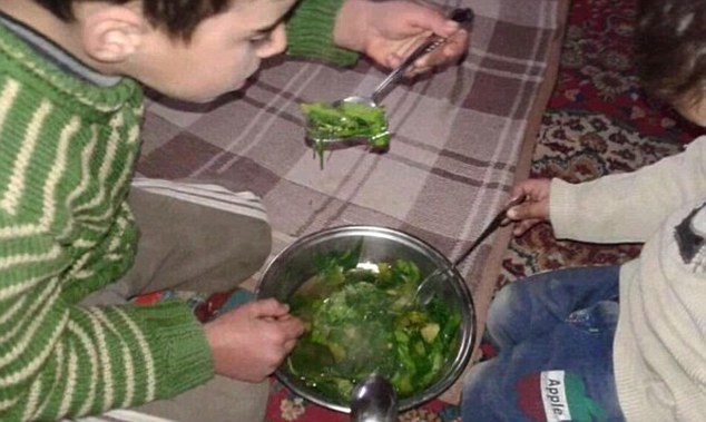 شامی خانہ جنگی، ہزاروں افراد گھاس اور مٹی کھانے پر مجبور