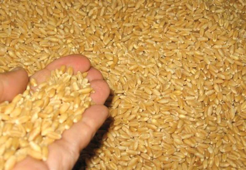 غذر میں آٹے کا بحران ، 3 دن سے تندور بند