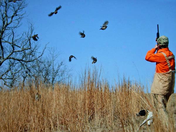انجمن تحفظ حقوق ِ پرند  کا احتجاج اور تلور کی مظلومیت