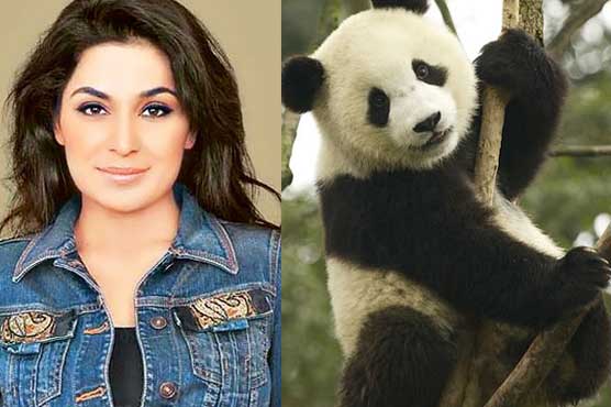 اداکارہ میرا پانڈے کا بچہ گود لینے کی خواہشمند