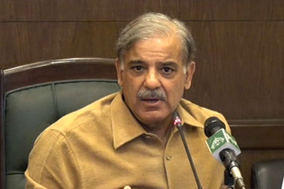 پاک چین سرمایہ کاری خطے کی ترقی کا باعث بنے گی : شہباز شریف