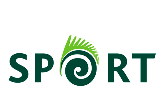 کشمیر ڈے کے موقع پر سندھ اسپورٹس بورڈ کی جانب سے مختلف کھیلوں کے انعقاد کا اعلان