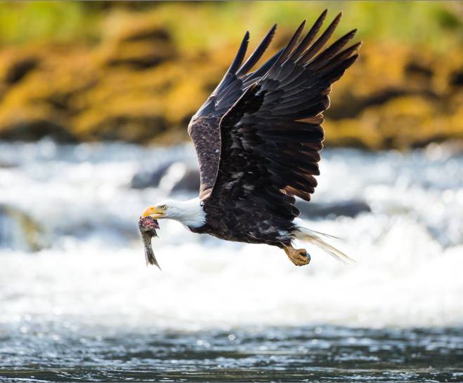 رزق اور رازق