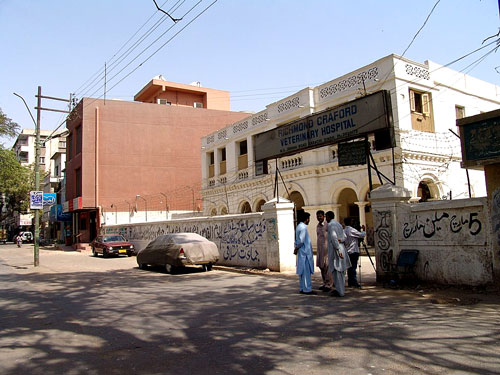 ویٹرنری ہسپتال منگلیہ میں ڈاکٹر محمد ریاض کو تعینات کر دیا گیا