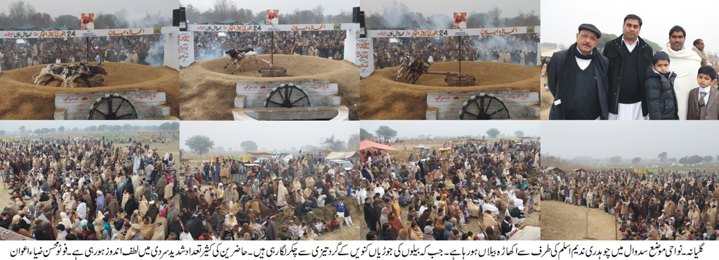 گلیانہ: نواحی موضع سدوال میں چوہدری ندیم اسلم کی طرف سے اکھاڑہ بیلاں ہورہا ہے