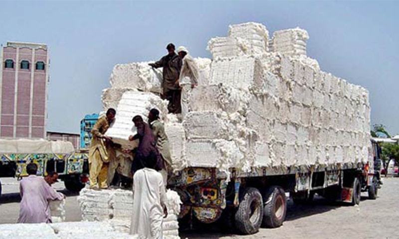 دنیا بھر میں روئی کی قیمتیں گرنے کے باعث پاکستان میں 50 تا 100 روپے کمی