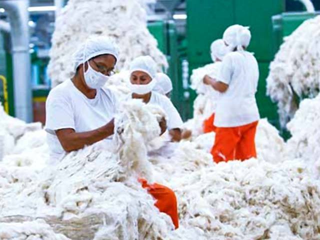 روئی کی قیمتوں میں استحکام کا تسلسل ٹوٹ گیا