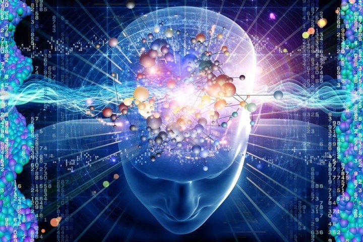 Digital Brain