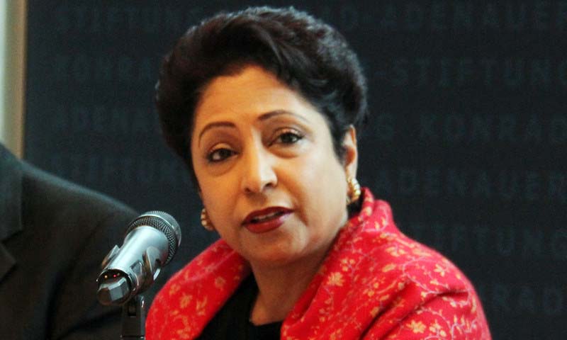 انتہاپسندی میں مقامی اور بیرونی عوامل کار فرما ہوتے ہیں، ملیحہ لودھی