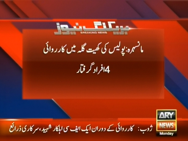 مانسہرہ: پولیس کی کھیت گلہ میں کاروائی 4 افراد گرفتار