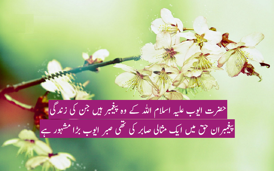 صبر ایوب علیہ اسلام