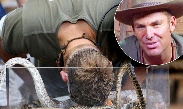 شین وارن کو ریلیٹی شو کے دوران ایناکونڈا نے کاٹ لیا