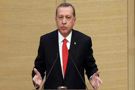 شامی کرد امریکی ہتھیار استعمال کر رہے ہیں: طیب اردوان