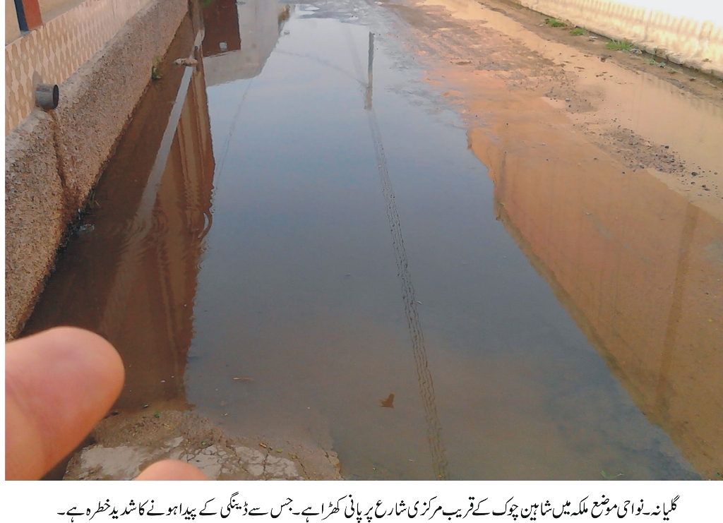 ملکہ کی خبریں 5/2/2016