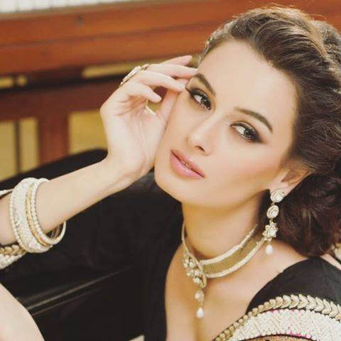 اداکارہ ایولین شرما کو بھی ہالی ووڈ سے بلاوا آگیا