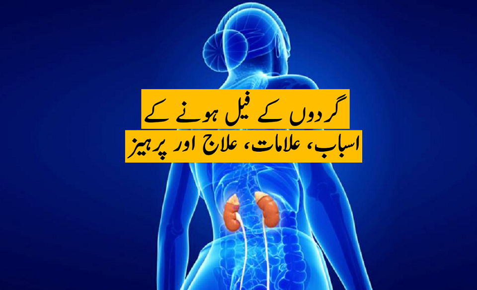 Kidney Disease