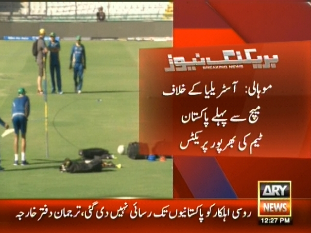 موہالی: آسٹریلیا کے خلاف میچ سے پہلے پاکستان ٹیم کی بھرپور پریکٹس