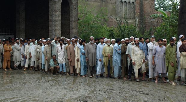 ہاتھی  کے دانت