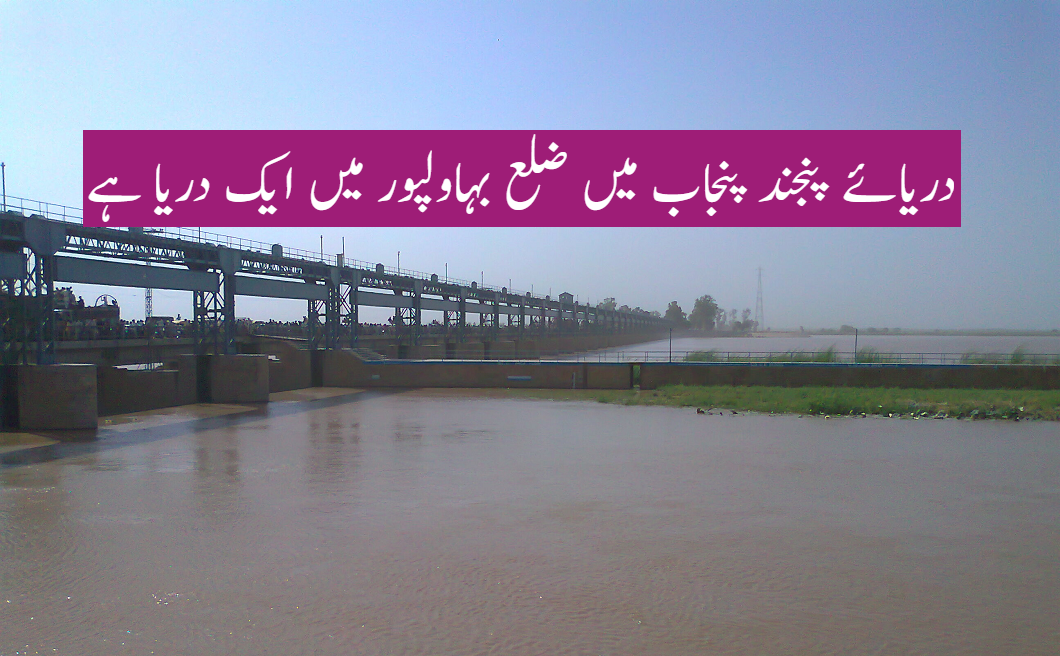 دریائوں کا عالمی دن