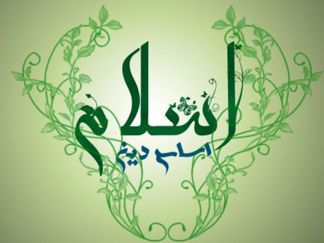 اسلام اور ملا گیری