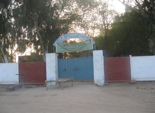 گورنمنٹ بوائز پرائمری سکول 101 ایم ایل میں سٹاف کی کمی کے باعث بچوں کا تعلیمی نقصان