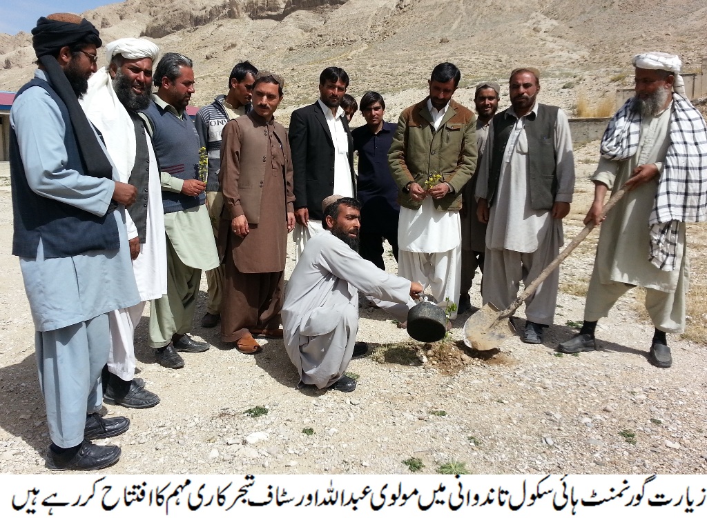 زیارت، شجرکاری مہم کے تحت ہائی سکول تاندوانی میں درخت لگائے گئے