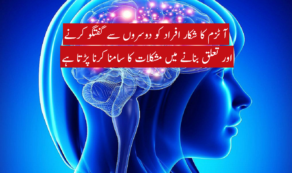 Brain development