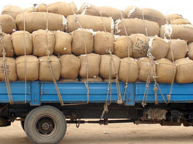 کاٹن سیزن ختم ہونے پر کپاس کی پیداوار 97.7 لاکھ گانٹھ تک محدود