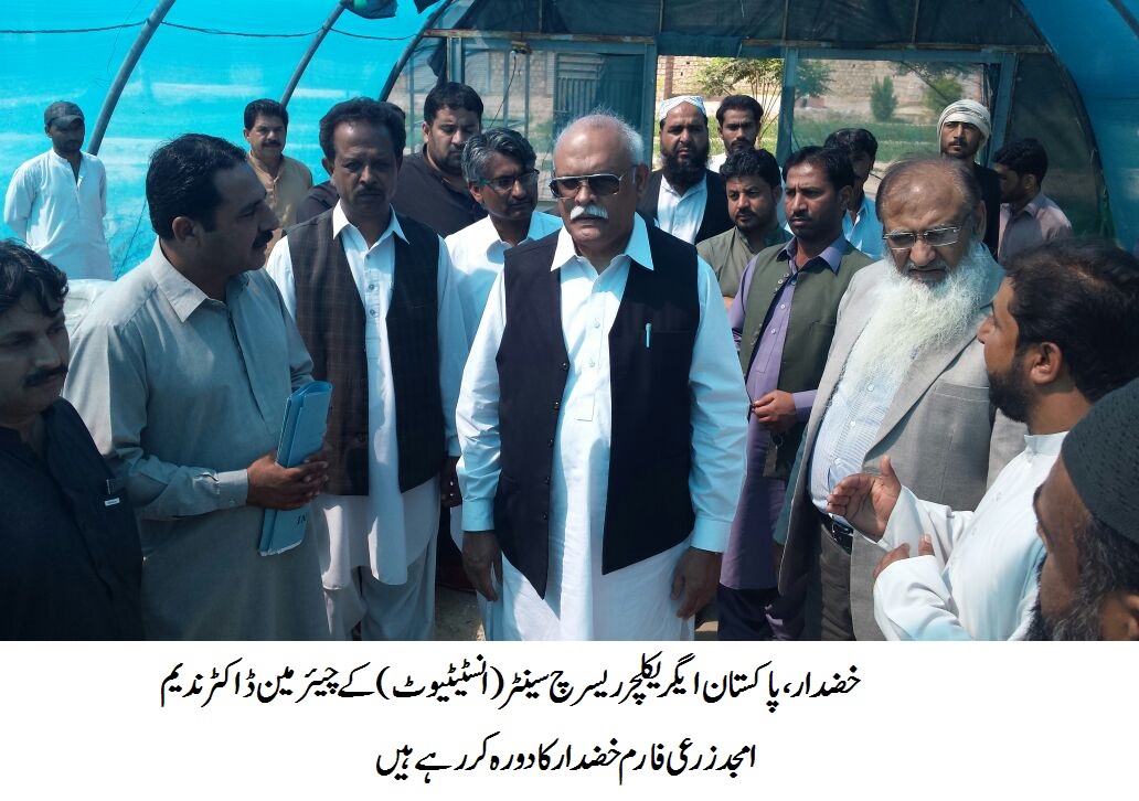 وفاقی حکومت زمینداروں کو سولر انرجی پر منتقل کرنے کے لئے زمینداروں کو سولر سیسٹم دے رہی ہے