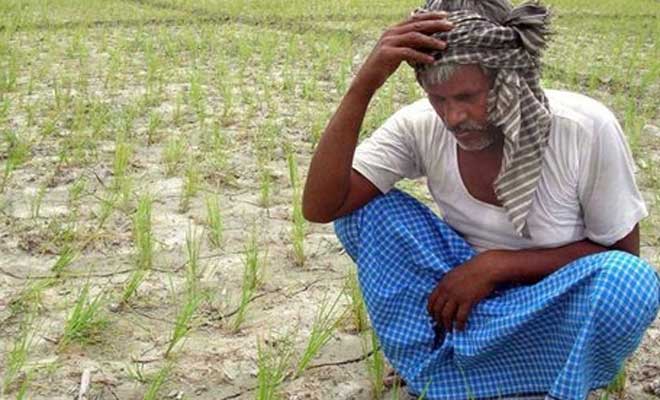 بھارتی ریاست مہاراشٹر میں گذشتہ تین ماہ میں 273 کسانوں نے خودکشی کی