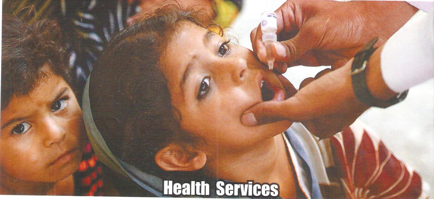 Health Services